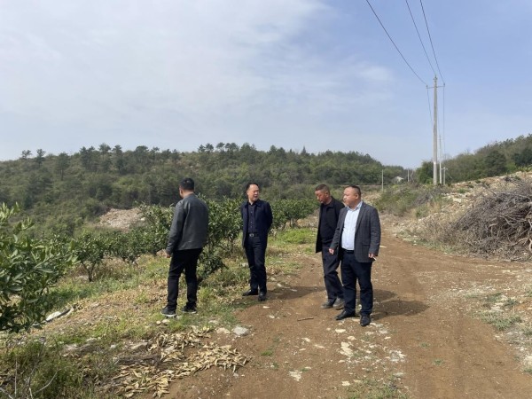 澧縣土地資源,澧縣公共基礎設施,澧縣工商業信息咨詢,澧縣澧州實業發展有限公司